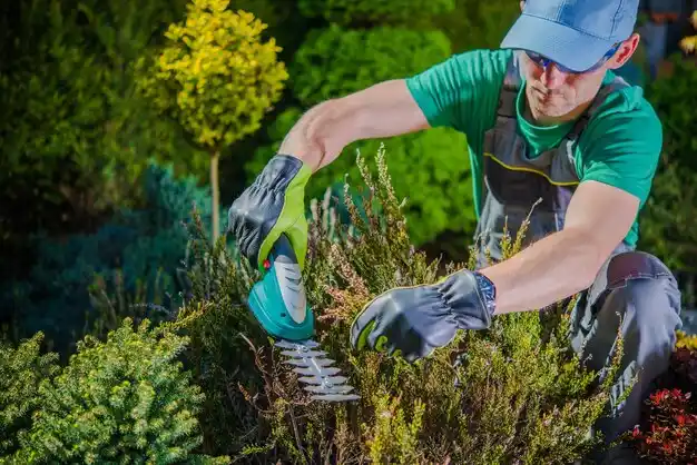 landscaping services Iron Mountain